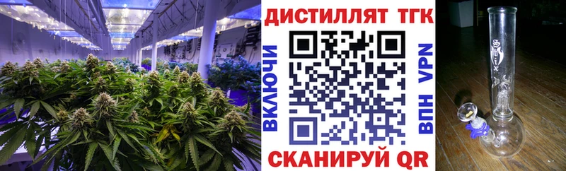 купить закладку  Александровск  Дистиллят ТГК жижа 