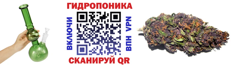 Бошки Шишки THC 21%  как найти наркотики  blacksprut   Александровск 